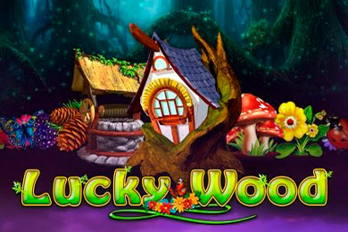 Lucky Wood 1хБет Казино слот